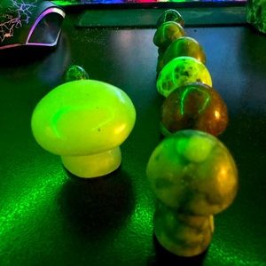 8 Gemstone Mushrooms